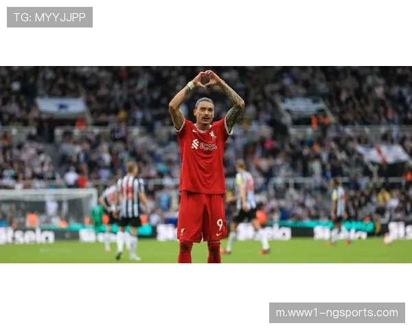 格里马尔多回应批评：努涅斯在利物浦进球不少表现不差